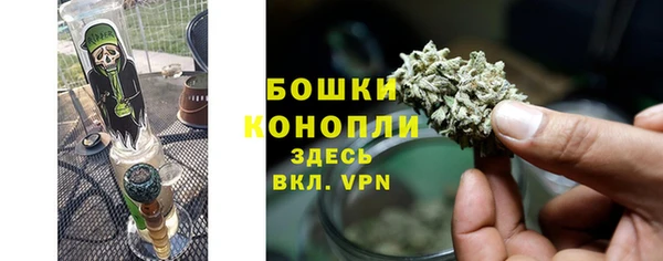 не бодяженный Гусиноозёрск