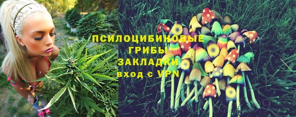 jwh Гусев