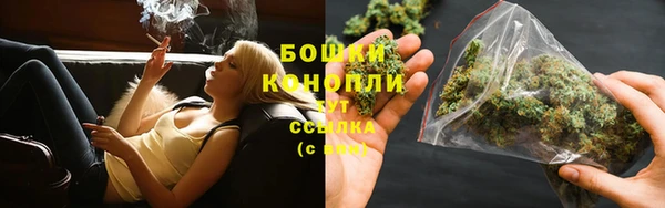 не бодяженный Гусиноозёрск