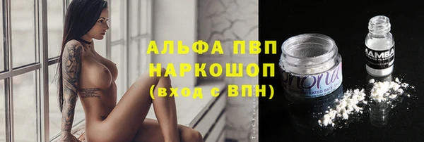 винт Гусь-Хрустальный