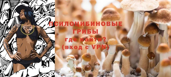 винт Гусь-Хрустальный
