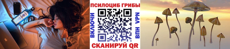 Псилоцибиновые грибы Cubensis  Дудинка 
